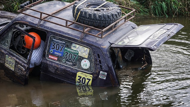 比如上海上 比如上海上