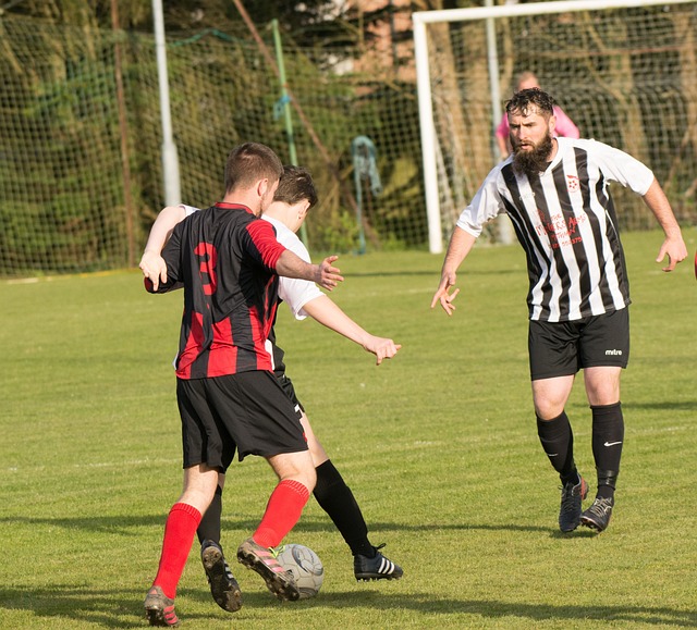 国乒球员忙 国乒球员忙