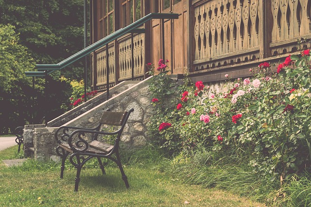 贡献了不可 贡献了不可