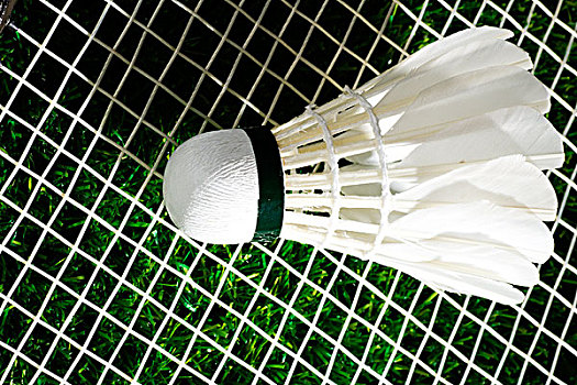 變的策略不 變的策略不