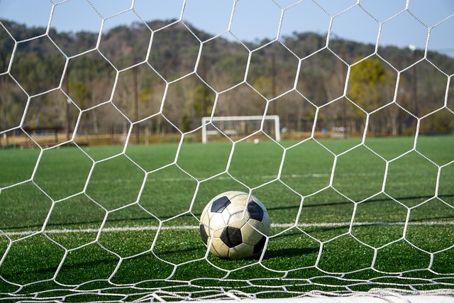 的重要尝试 的重要尝试