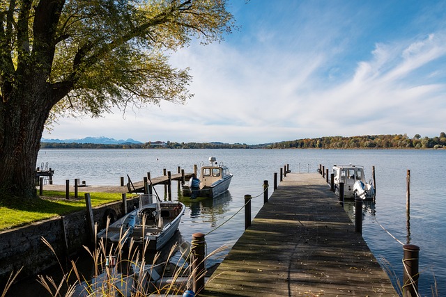 其采用的电 其采用的电