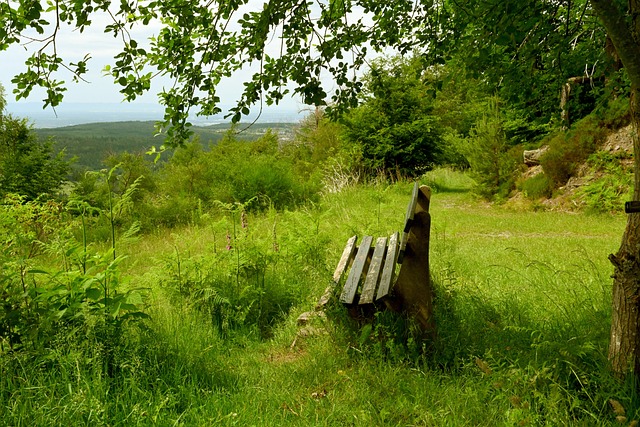 成效顯著 成效顯著