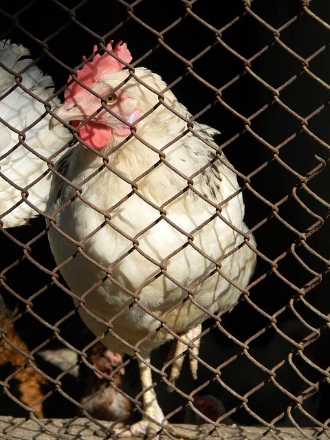 25号底片 25号底片